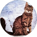 Avatar de Philippe.L