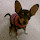 Angela Vinson's profile photo