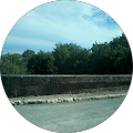 Avatar de Isabelle.A
