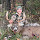 hoehn...@gmail.com's profile photo