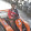 bhupendra niraula`'s profile photo