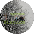 Avatar de Leroy.l