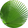 Irvine Law Group, LLP - Santa Ana, California