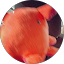 ま組