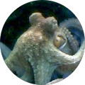 Avatar de Marie-Christine.e