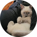 Boomer Lawrence Avatar