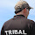 Tribal's profile photo