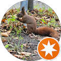 Tierheilpraxis Müller - Berching