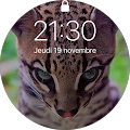 Avatar de Zou97.