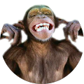 Avatar de Frédéric.a