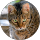 Dorin G profile picture