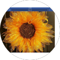 Best Team Tax, Inc. - El Cajon, California