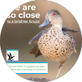 ClickWize Multimedia Solutions - Avondale Heights, Victoria