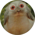 Avatar du profil de dg ki