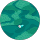 Community member
