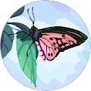 Jackie's profile image