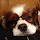 jeanmichel MATHIEU's profile photo