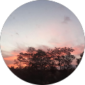 Avatar de Mélissa.h