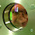 jeromet...@gmail.com's profile photo
