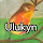 Ulukyn - Ryzom Dev Team's profile photo