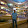 Rodrigo Vega Lemus's profile photo