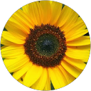 Maya Manela profile image