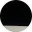 Shayan Shirazi Avatar