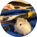 Review Author Image