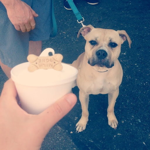 Spoiled To the Bone