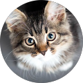 Avatar de sauger.e