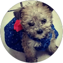 Jennifer Jo's profile image