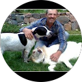 Better Electric, Inc. - Sterling, Colorado