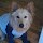 Limus's profile photo