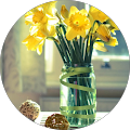 Veera S profile photo
