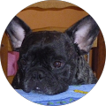 Avatar de brigitte.o