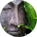Avatar de maya.i