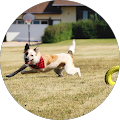 S-Curve Consulting - 