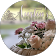 Austin's Flowers - florist for all occasions