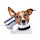 Wayne Parsons's profile photo