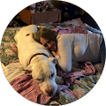 PBAR Poynter & Bucheri, LLC - Indianapolis, Indiana