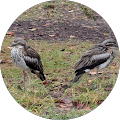Northern Territory Consumer Affairs - Casuarina, Northern Territory