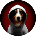 Avatar de Serge.h