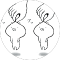 しゃもじきのこ