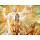 Anupam's profile photo