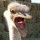 Matt Price's profile photo