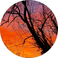 Avatar de vincent gressot