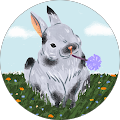 Ilana Siegel Avatar