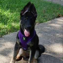 Celia “CC_Rider” Crecy