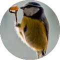 Review Author Image