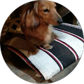 Rusty